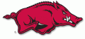 Razorback flyer's Avatar