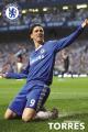 Fernando Torres's Avatar