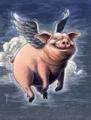 Flying Pig's Avatar